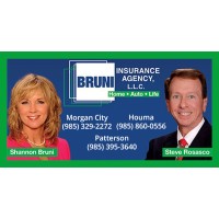 BRUNI INSURANCE AGENCY LLC Logo