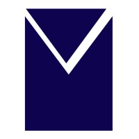 VISIONETICS INTERNATIONAL Logo