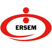 Erdemir Steel Service Center Logo