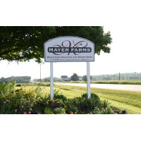 Mayer Farms Beef Logo