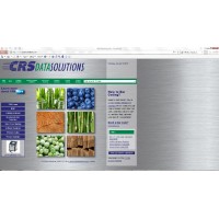 CRS Data Solutions, Inc. Logo