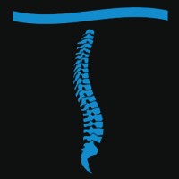 Taylor Chiropractic & Wellness Logo