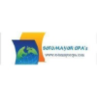 Sotomayor & Associates, LLP Logo