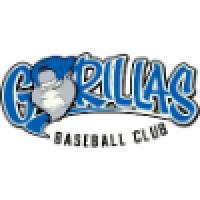 TB SoCal Baseball Logo