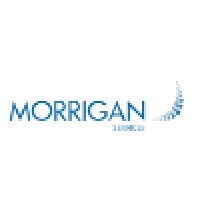 Morrigan Services Logo