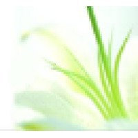 Amalan Technologies Logo