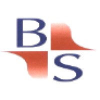 Business Schema Logo
