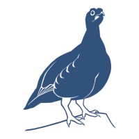 British Birds Logo