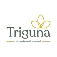 Triguna Projects Pvt Ltd Logo