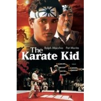 Northwestern Karate Schools Logo