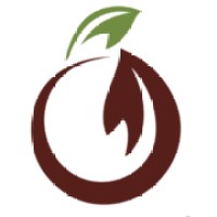 Gulbahar Tobacco International Logo