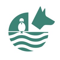 Zoodynamiki Ltd Logo