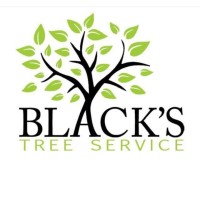 Blacks Tree Service Logo