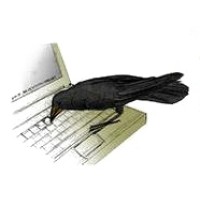 Raven Computers Logo