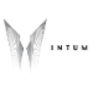 Intum Logo