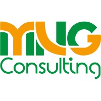 Mng Consulting Logo