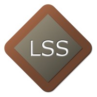 LOGICAL SOFTWARE SOLUTIONS Logo
