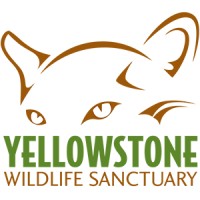 Yellowstone Wildlife Sanctuary Logo