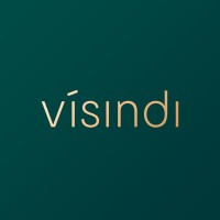 Visindi AS Logo