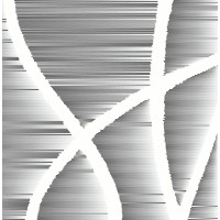 Stephen Glassman Studio Logo