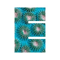 British Ecological Society Logo