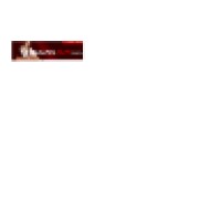 http://www.cigars-now.com/ Logo