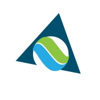 Lifetronic S.r.l. Logo