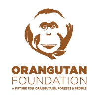 ORANGUTAN FOUNDATION Logo