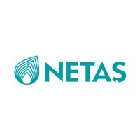 NETAŞ Logo