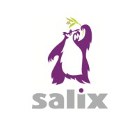 SALIX STAINLESS STEEL FABRICATIONS LIMITED Logo