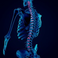 Emerald Coast Chiropractic Logo