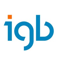 igb AG - Gesamtplaner für Industriebau & Sozialimmobilien Logo