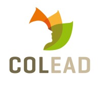 COLEAD.link Logo