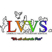 Lamoille Valley Veterinary Services Logo