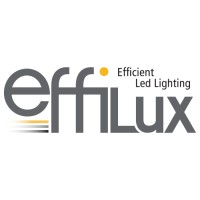 EFFILUX Logo