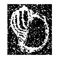 Cher Threinen Design Logo