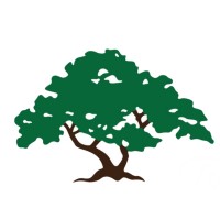 Traverso Tree Service Logo