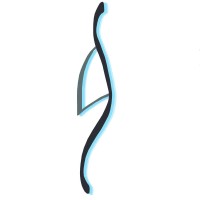 Back In Shape Clinic Logo