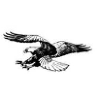 Flying Eagle Services Logo