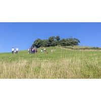 Roundhill Barn, Kelston Logo