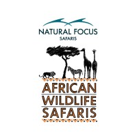 African Wildlife Safaris and Natural Focus Logo