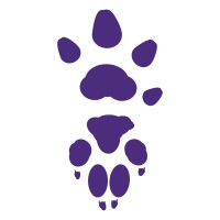 la Danta y el Coyote Logo