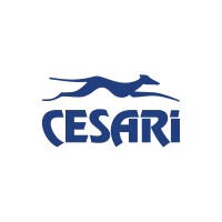 Cesari Multimodal Logo