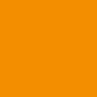 colornaranja_021 Logo