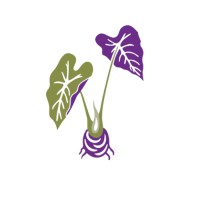 Obenauf Law Group Logo
