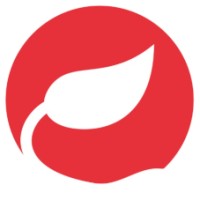 TEIMAS Logo