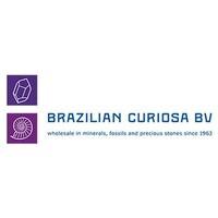 Brazilian Curiosa BV Logo