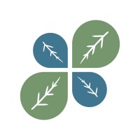 Stadia Logo