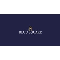 BLUU SQUARE DEVELOPMENTS Logo