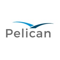 Pelican.ai Logo